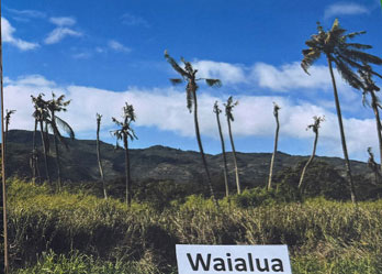 Waialua
