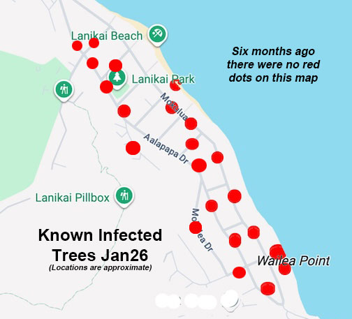 Map of CRB Infestations in Lanikai