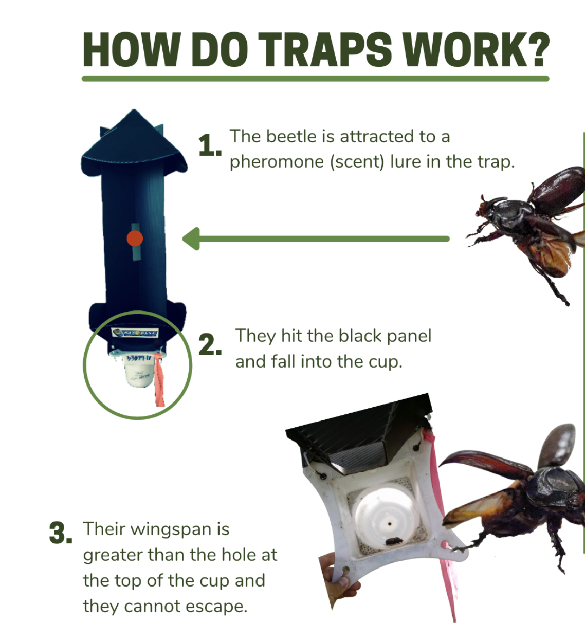 Diagram showing how CRB panel traps work
